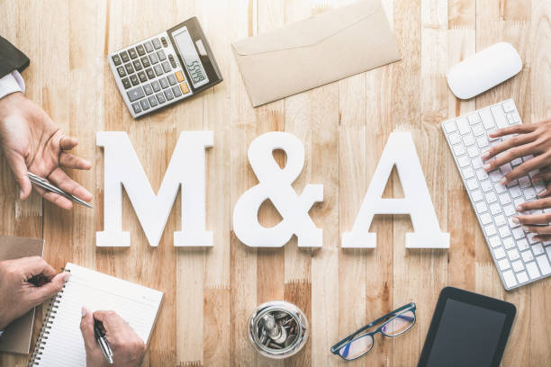 Understanding the M&A Process in Florida